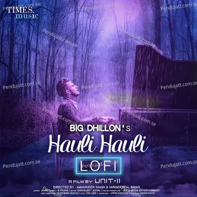 Hauli Hauli - Big Dhillon album cover 