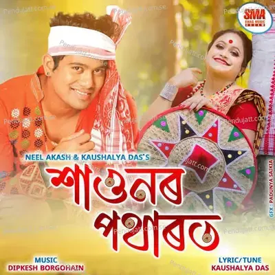 Haunor Potharot - Neel Akash album cover 