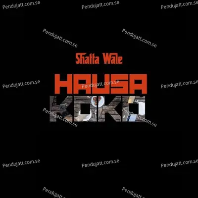 Hausa Koko - Shatta Wale album cover 