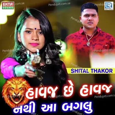 Havaj Chhe Havaj Nathi Aa Baglu - Shital Thakor album cover 