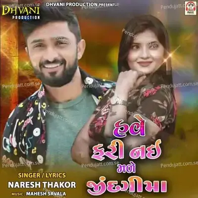 Have Fari Nai Made Jindagi Ma - Naresh Thakor album cover 