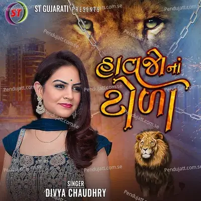 Havjo Na Tola - Divya Chaudhary album cover 