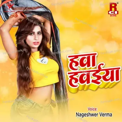 Bujhali Hai Hawa Hawaiya - Nageshwer Verma album cover 