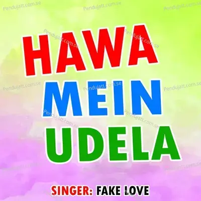 Hawa Mein Udela - FAKE LOVE album cover 