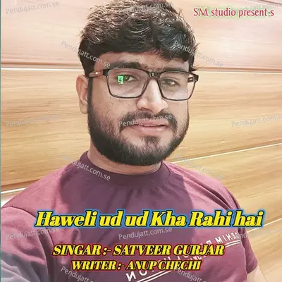 Haweli Ud Ud Kha Rahi H Satveer Gurjar - Satveer Gurjar album cover 