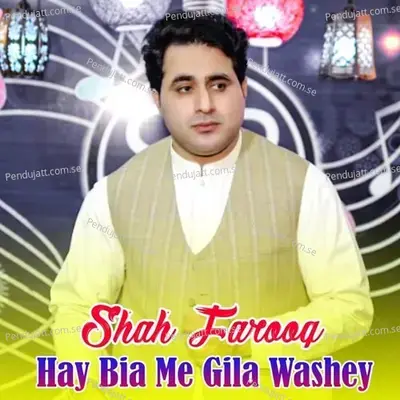 Hay Bia Me Gila Washey - Shah Farooq album cover 