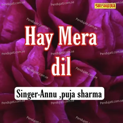 Hay Mera Dil - Pooja Sharma album cover 