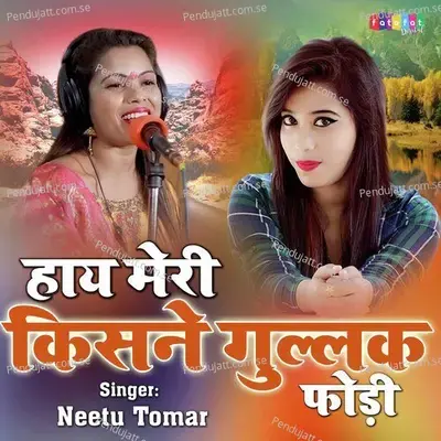 Hay Meri  Kisne Gulak - Neetu Tomar album cover 