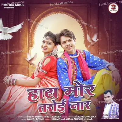 Hay Mor Taroi Naar - Sanjay Narang album cover 