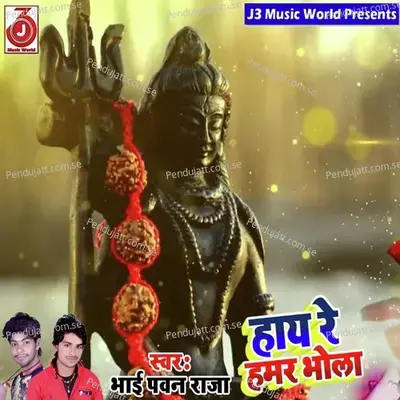 Hay Re Hamar Bhola - Bhai Pawan Raja album cover 