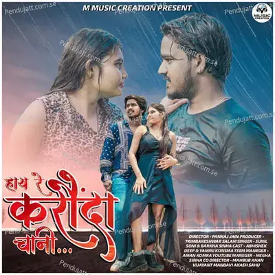Hay Re Karonda Chani - Sunil Soni album cover 