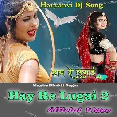 Hay Re Lugai - P. Ram Avtar Sharma album cover 