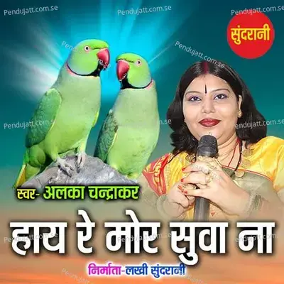 Hay Re Mor Suwa Na - Alka Chandrakar album cover 