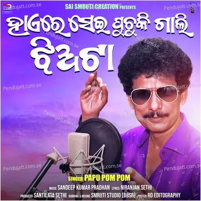 Hay Re Sei Puchuki Gali Jhia Ta - Papu Pom Pom album cover 