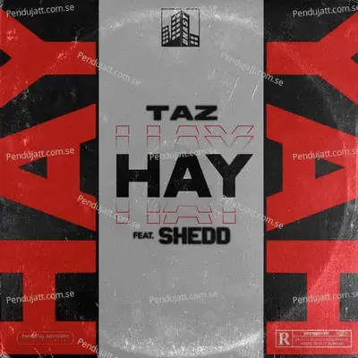 Hay - Taz album cover 