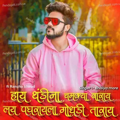 Hay Thandina Chamkya Varay Lay Panghrayla Godhadi Taray - Bhaiya More album cover 