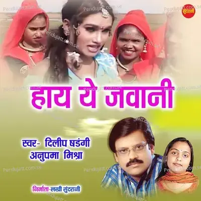 Hay Ye Jawani - Dilip Shadangi album cover 