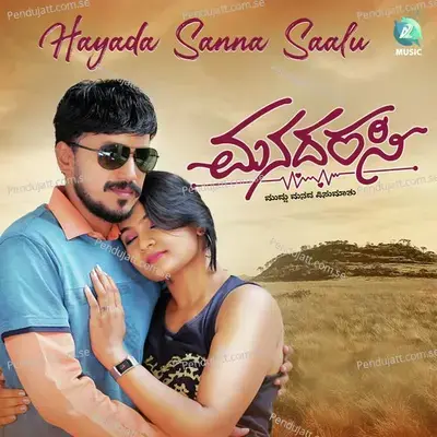 Hayada Sanna Saalu - Naveen album cover 