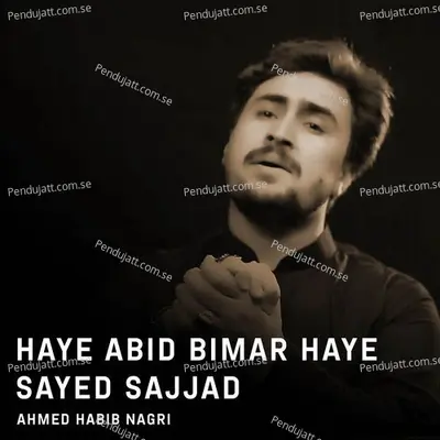 Haye Abid Bimar Haye Sayed Sajjad - Ahmed Habib Nagri album cover 