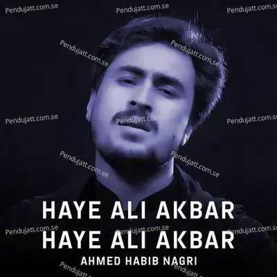 Haye Ali Akbar Haye Ali Akbar - Ahmed Habib Nagri album cover 