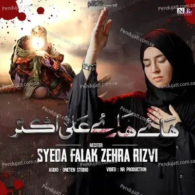 Haye Haye Ali Akbar - Syeda Falak Zehra Rizvi album cover 
