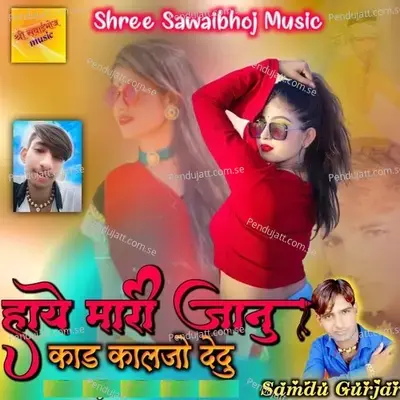 Haye Mari Jaanu Kad Kalajo Dedu - Samdu Gurjar album cover 