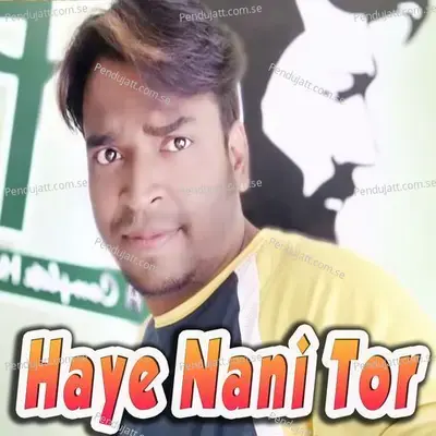 Haye Nani Tor - Shashwat Kumar Tripathy album cover 