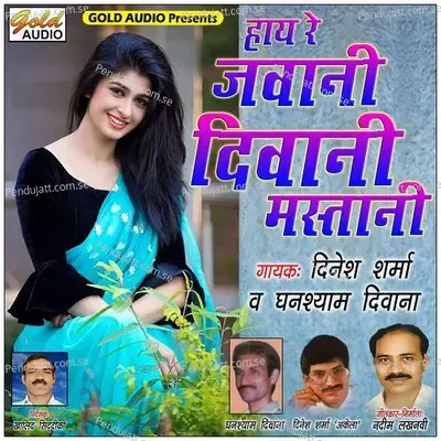 Haye Re Jawani Diwani Mastani - Dinesh Sharma album cover 