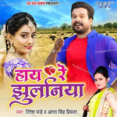 Haye Re Jhulaniya - Ritesh Pandey album cover 
