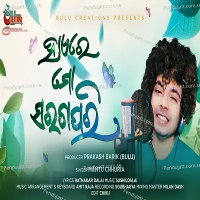 Haye Re Saragapari - Mantu Chhuria album cover 