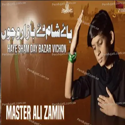 Haye Sham Day Bazar Vichon - Master Ali Zamin album cover 