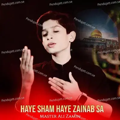 Haye Sham Haye Zainab Sa - Master Ali Zamin album cover 