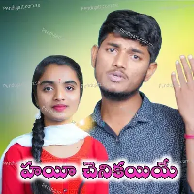 Hayi Chenikayiy - Krishnudu album cover 