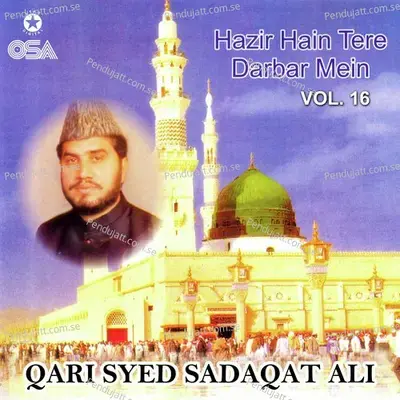 Kahin Na Dekha Zamane Bhar Mein - Qari Syed Sadaqat Ali album cover 