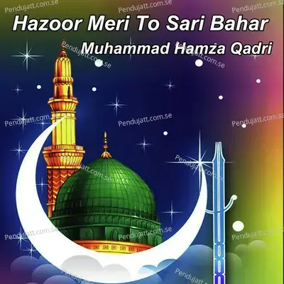 Hazoor Meri To Sari Bahar - Muhammad Hamza Qadri album cover 