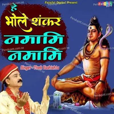 He Bhole Shankar Namami Namami - Vivek vasishtha album cover 