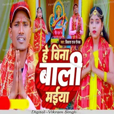 He Bina Wali Maiya - Vikash Raj Ronak album cover 