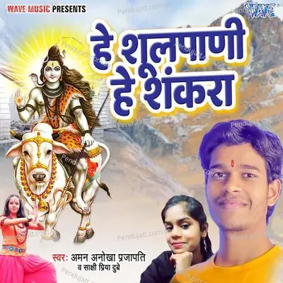 He Shulpani He Shankara - Aman Anokha Parjapati album cover 