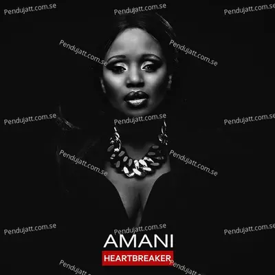 Heartbreaker - Amani album cover 