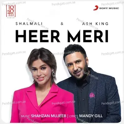 Heer Meri - Ash King album cover 