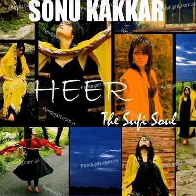 Heer - Tony Kakkar album cover 