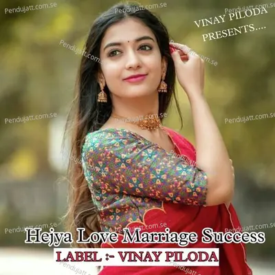 Hejya Love Marriage Success - Vinay Piloda album cover 