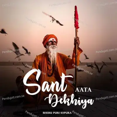 Heli Mharo Halo Ni Agam Wale Des - Bheru Puri Sopura album cover 