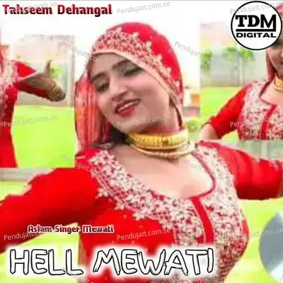 Hell Mewati - Tahseem Dehangal album cover 