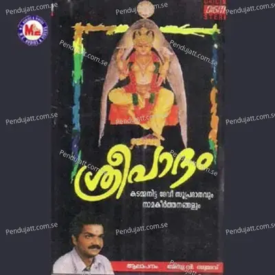 Devadevathe - Anu V. Sudev album cover 