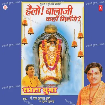 Saari Duniya Maare Bol - Pt. Ram Avtar Sharma album cover 