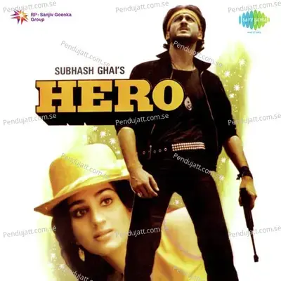 Hero - Meenakshi Sheshadri album cover 