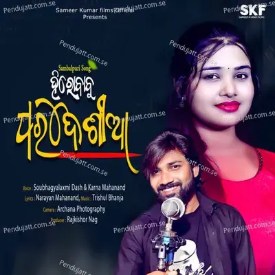 Hero Babu Pardesia - Karna Mahanand album cover 