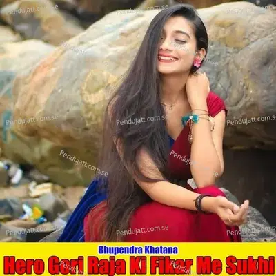 Hero Gori Raja Ki Fikar Me Sukhi - Bhupendra Khatana album cover 