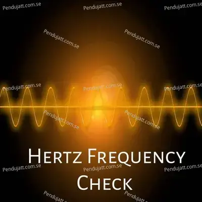 Hertz Frequency Chek - Lakhan Hire cover album